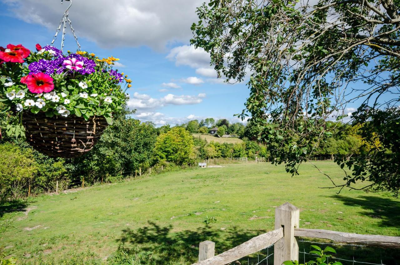 Lavender Lodge Arundel Exteriér fotografie